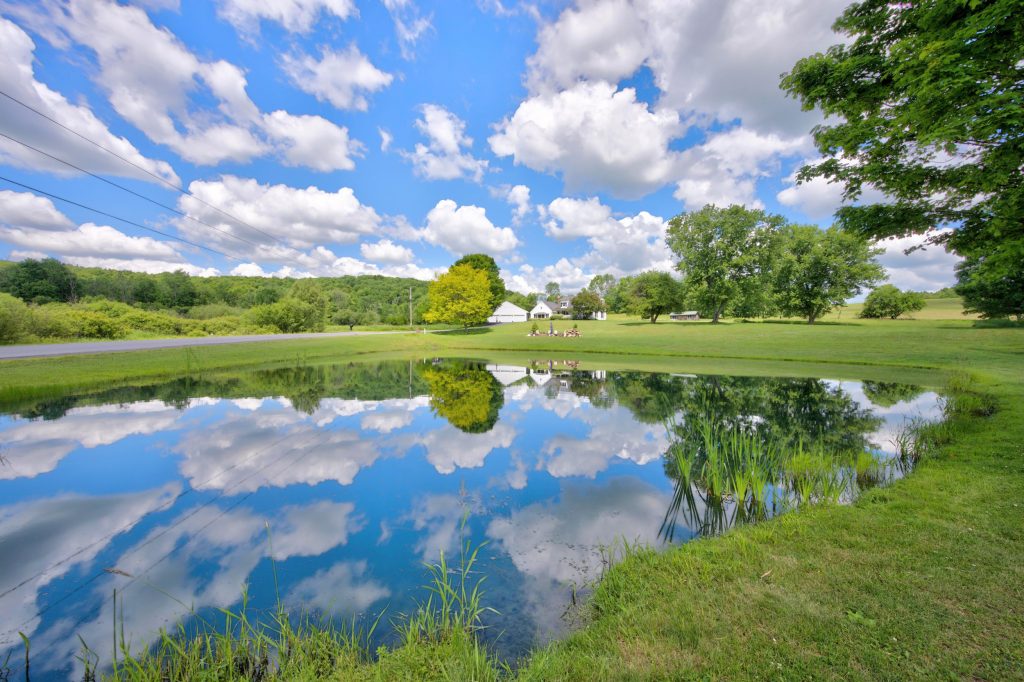 Pond in Cooperstown NY